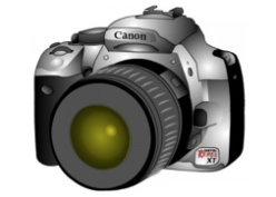 Resized Image